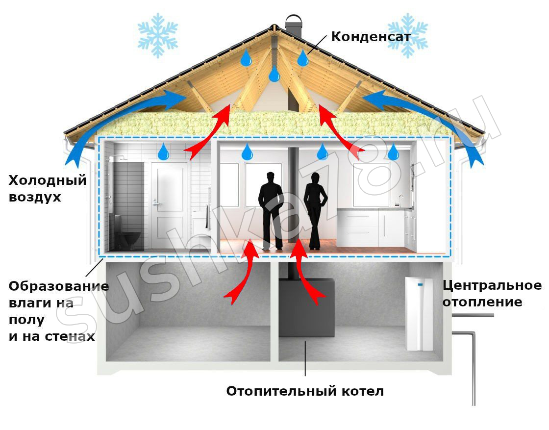 Просушка холодных чердаков и мансард в частных домах (фото)